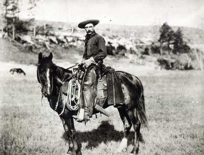 Cowboy riding a horse in Montana, USA, c. 1880 by American Photographer